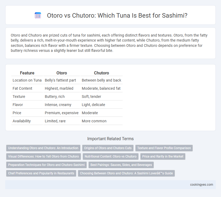 Otoro vs Chutoro: Which Tuna Is Best for Sashimi?