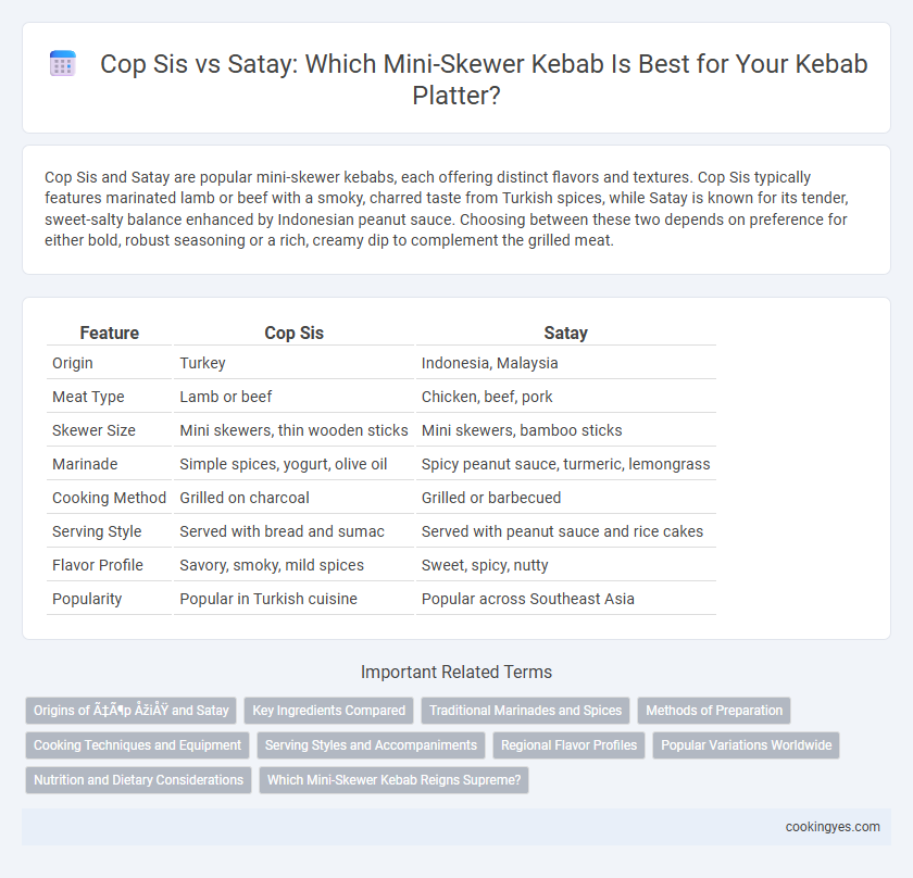 Cop Sis vs Satay: Which Mini-Skewer Kebab Is Best for Your Kebab Platter?