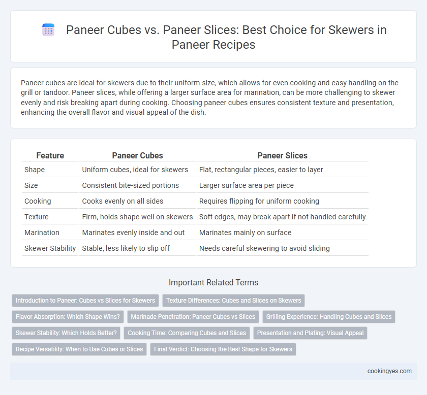 Paneer Cubes vs. Paneer Slices: Best Choice for Skewers in Paneer Recipes