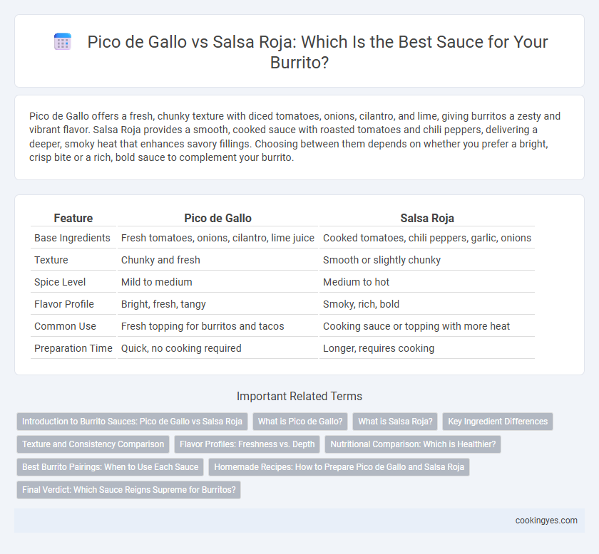 Pico de Gallo vs Salsa Roja: Which Is the Best Sauce for Your Burrito?