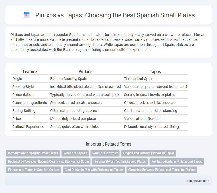 Pintxos vs Tapas: Choosing the Best Spanish Small Plates