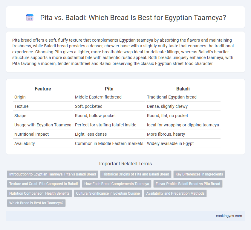 Pita vs. Baladi: Which Bread Is Best for Egyptian Taameya?