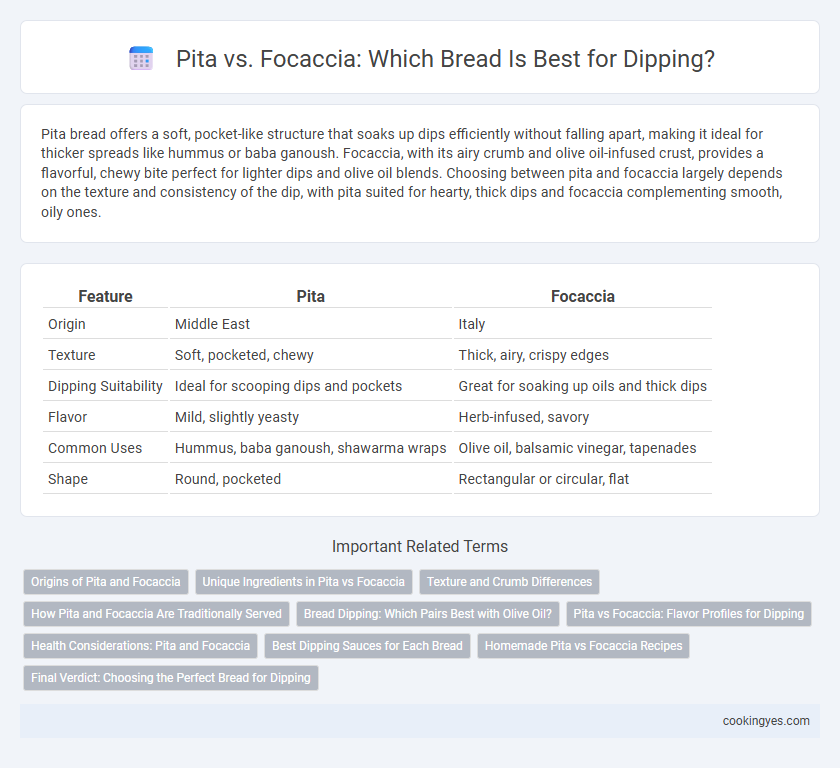 Pita vs. Focaccia: Which Bread Is Best for Dipping?