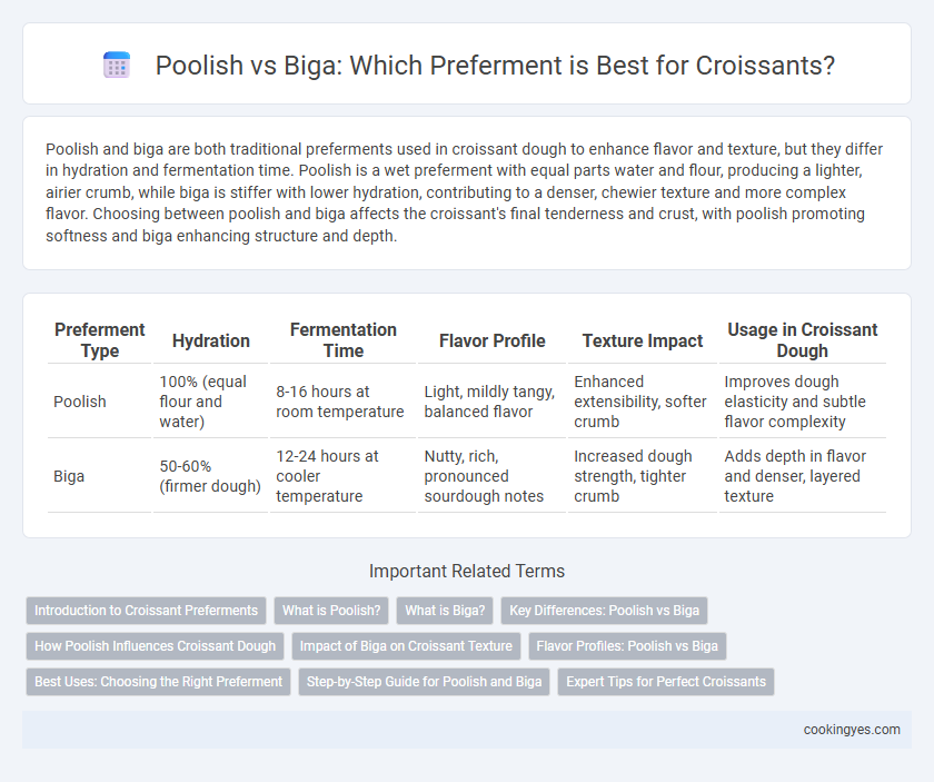 Poolish vs Biga: Which Preferment is Best for Croissants?