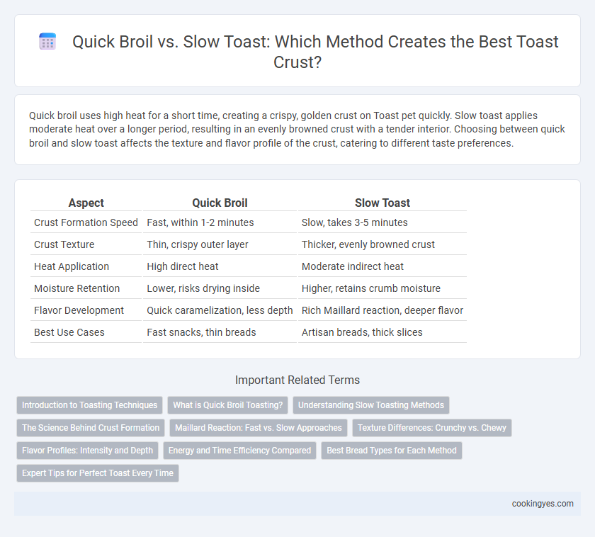 Quick Broil vs. Slow Toast: Which Method Creates the Best Toast Crust?