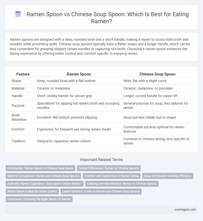 Ramen Spoon vs Chinese Soup Spoon: Which Is Best for Eating Ramen?