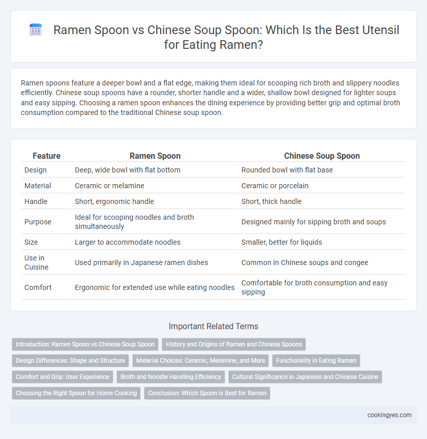 Ramen Spoon vs Chinese Soup Spoon: Which Is the Best Utensil for Eating Ramen?
