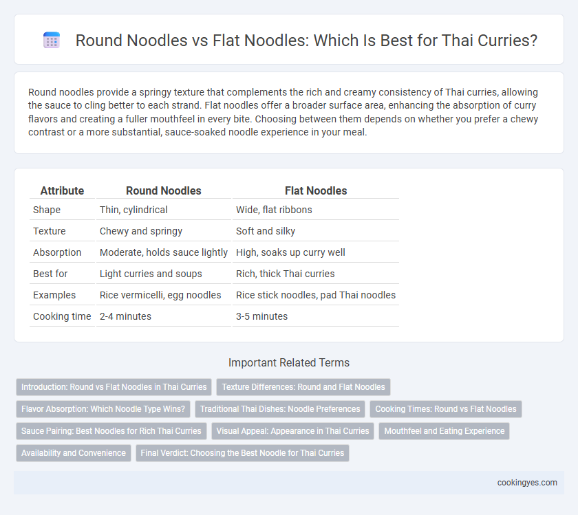 Round Noodles vs Flat Noodles: Which Is Best for Thai Curries?