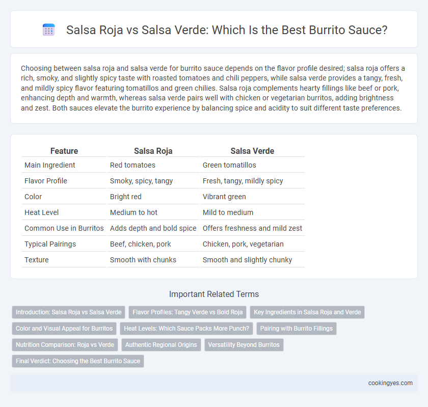 Salsa Roja vs Salsa Verde: Which Is the Best Burrito Sauce?