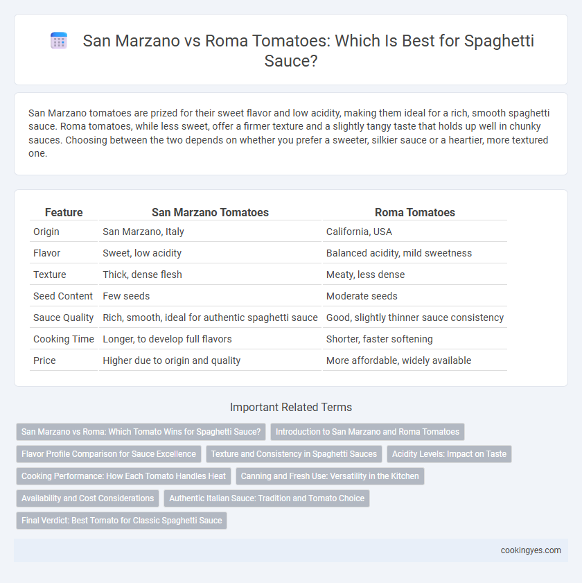 San Marzano vs Roma Tomatoes: Which Is Best for Spaghetti Sauce?