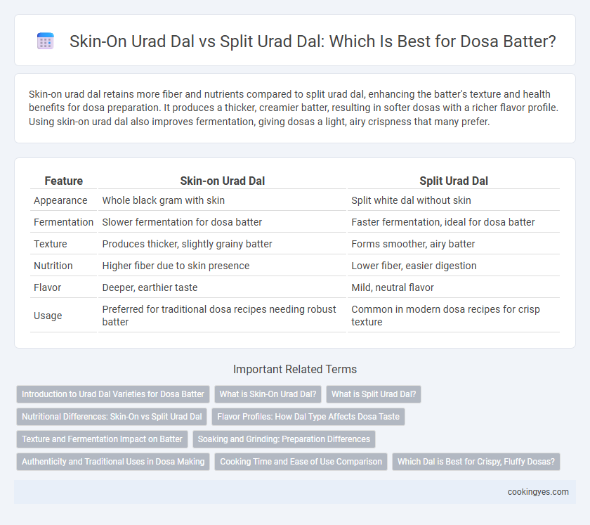 Skin-On Urad Dal vs Split Urad Dal: Which Is Best for Dosa Batter?