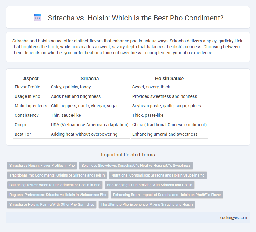 Sriracha vs. Hoisin: Which Is the Best Pho Condiment?