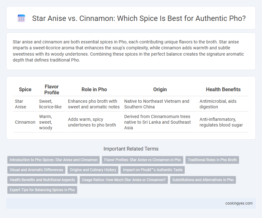 Star Anise vs. Cinnamon: Which Spice Is Best for Authentic Pho?