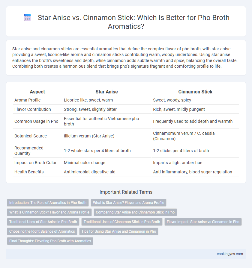 Star Anise vs. Cinnamon Stick: Which Is Better for Pho Broth Aromatics?