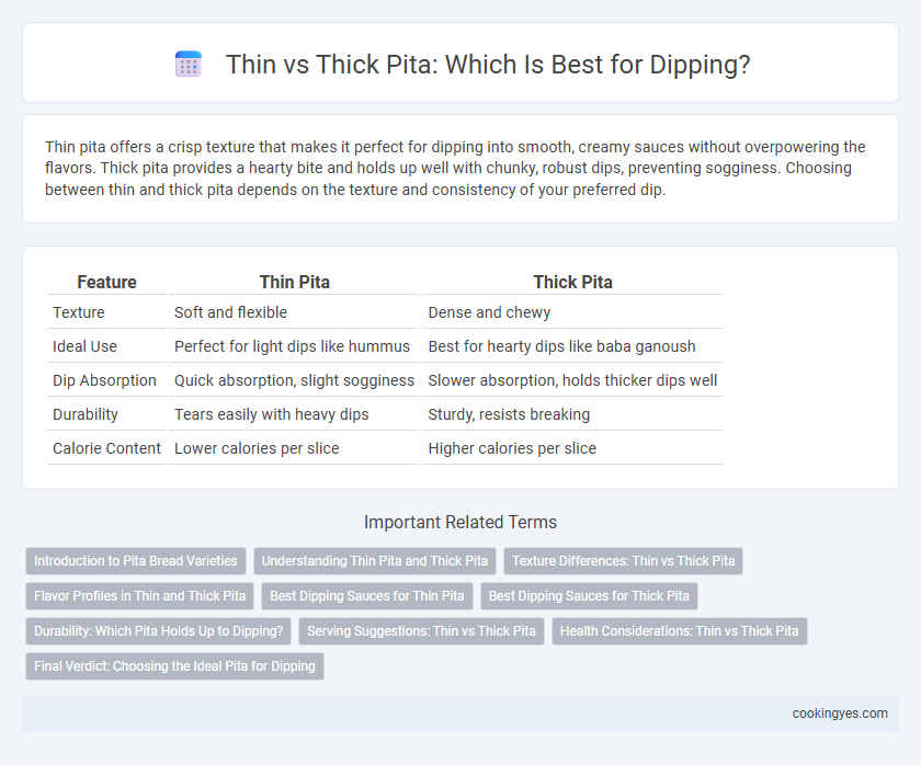 Thin vs Thick Pita: Which Is Best for Dipping?
