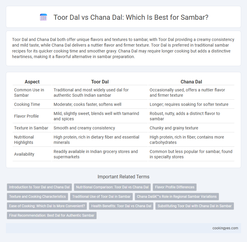 Toor Dal vs Chana Dal: Which Is Best for Sambar?