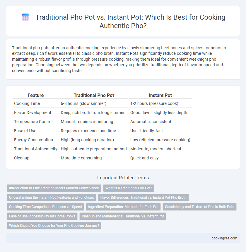 Traditional Pho Pot vs. Instant Pot: Which Is Best for Cooking Authentic Pho?
