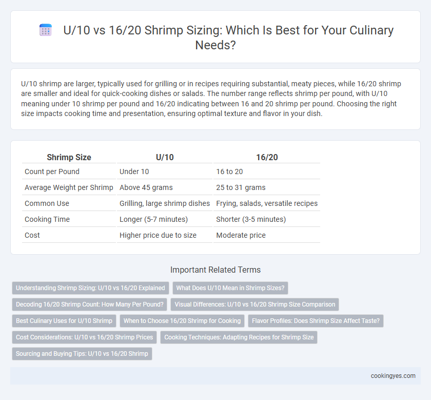U/10 vs 16/20 Shrimp Sizing: Which Is Best for Your Culinary Needs?