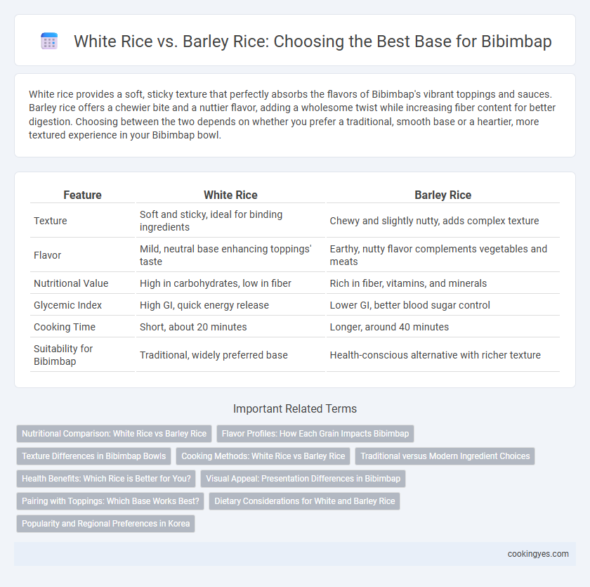 White Rice vs. Barley Rice: Choosing the Best Base for Bibimbap