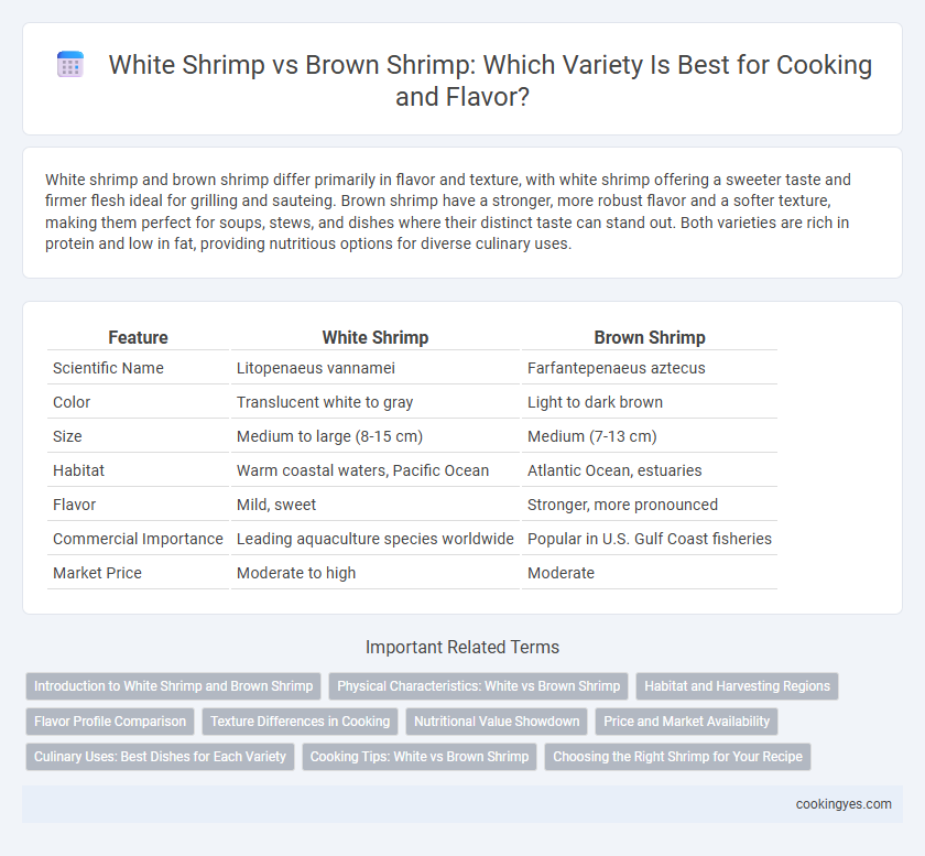 White Shrimp vs Brown Shrimp: Which Variety Is Best for Cooking and Flavor?