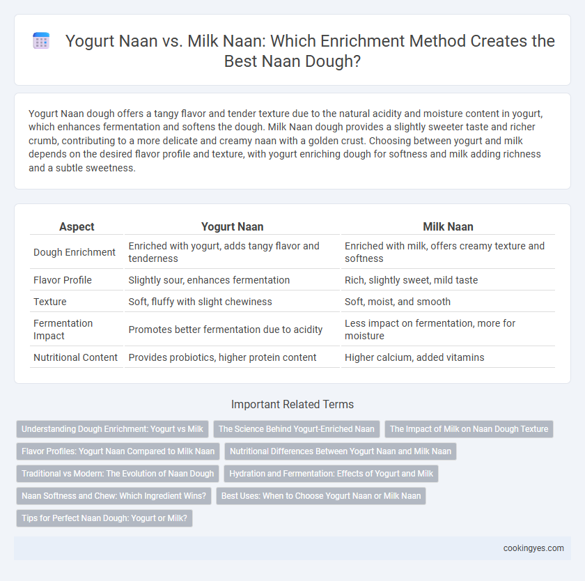 Yogurt Naan vs. Milk Naan: Which Enrichment Method Creates the Best Naan Dough?