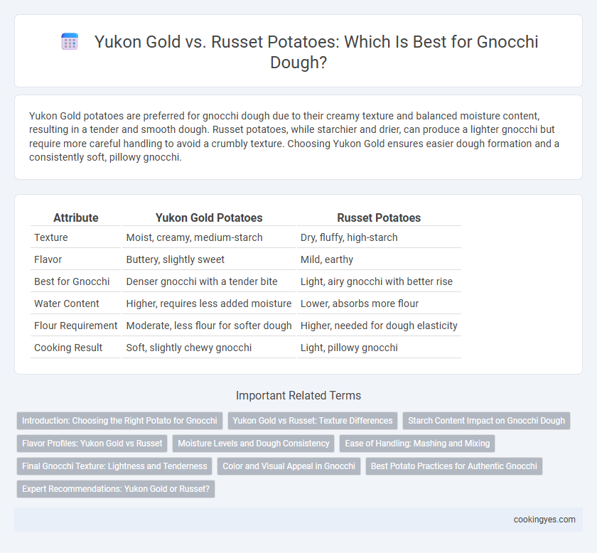 Yukon Gold vs. Russet Potatoes: Which Is Best for Gnocchi Dough?