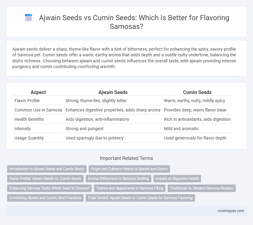 Ajwain Seeds vs Cumin Seeds: Which Is Better for Flavoring Samosas?