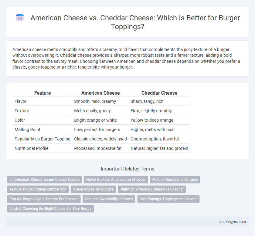 American Cheese vs. Cheddar Cheese: Which Is Better for Burger Toppings?