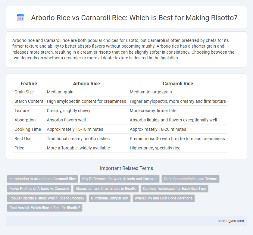 Arborio Rice vs Carnaroli Rice: Which Is Best for Making Risotto?