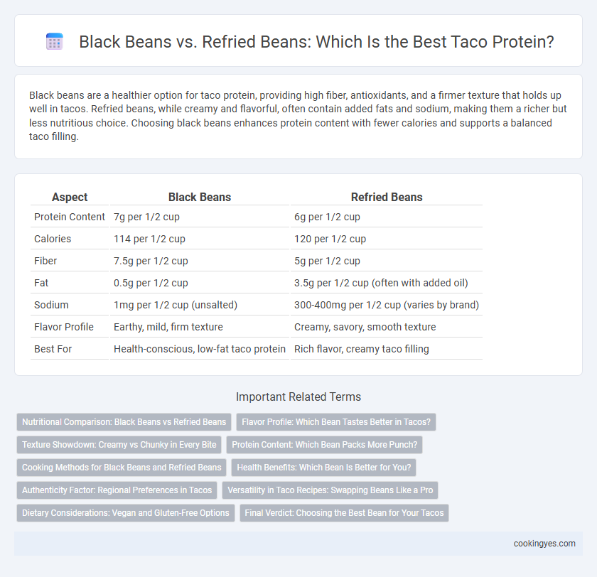 Black Beans vs. Refried Beans: Which Is the Best Taco Protein?