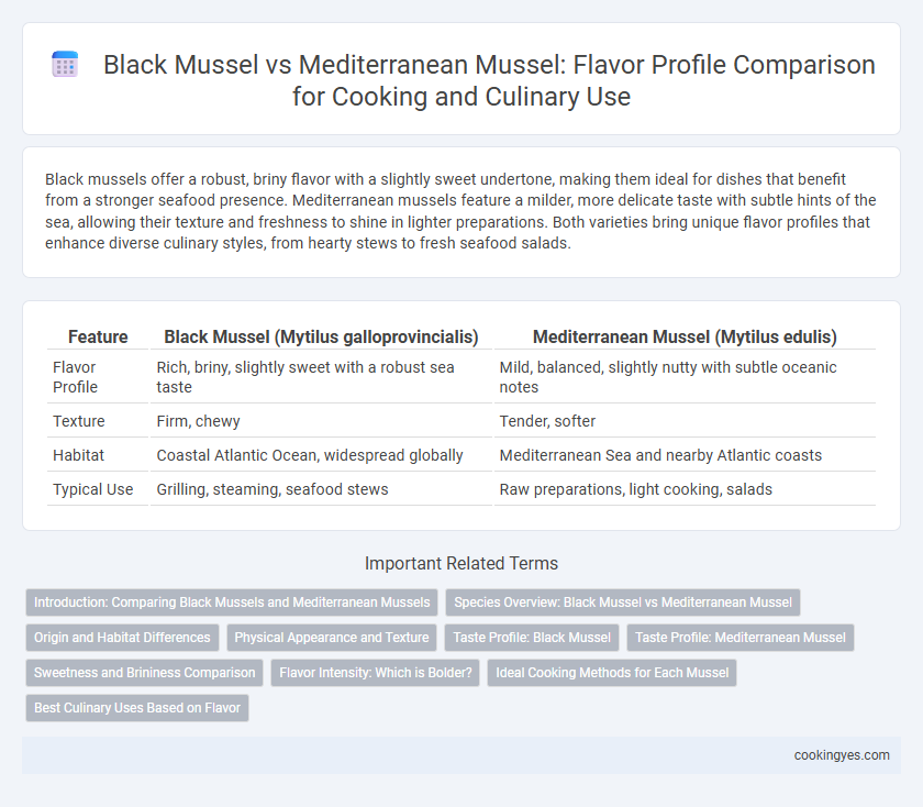 Black Mussel vs Mediterranean Mussel: Flavor Profile Comparison for Cooking and Culinary Use