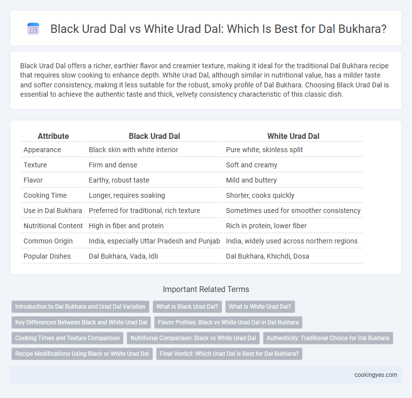 Black Urad Dal vs White Urad Dal: Which Is Best for Dal Bukhara?
