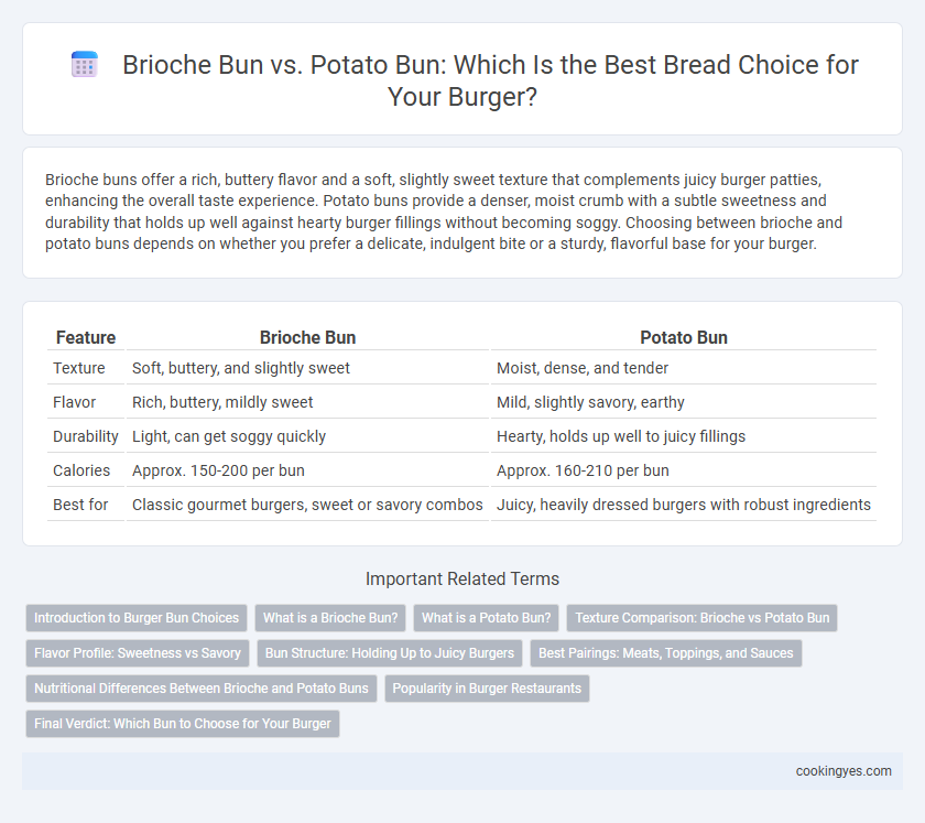 Brioche Bun vs. Potato Bun: Which Is the Best Bread Choice for Your Burger?