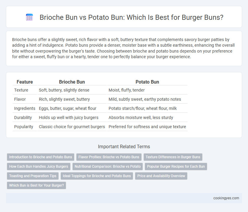 Brioche Bun vs Potato Bun: Which Is Best for Burger Buns?