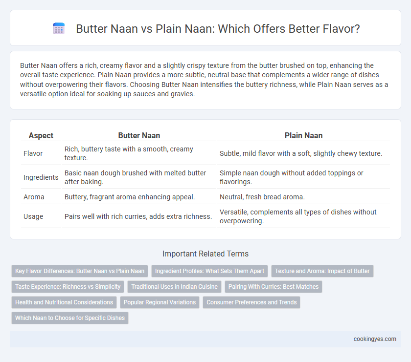 Butter Naan vs Plain Naan: Which Offers Better Flavor?