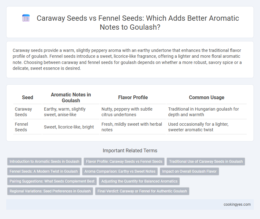Caraway Seeds vs Fennel Seeds: Which Adds Better Aromatic Notes to Goulash?