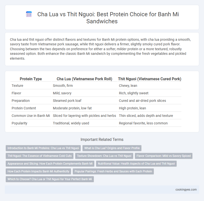 Cha Lua vs Thit Nguoi: Best Protein Choice for Banh Mi Sandwiches