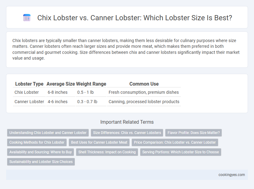 Chix Lobster vs. Canner Lobster: Which Lobster Size Is Best?