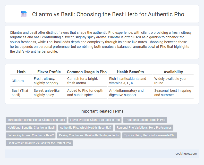 Cilantro vs Basil: Choosing the Best Herb for Authentic Pho