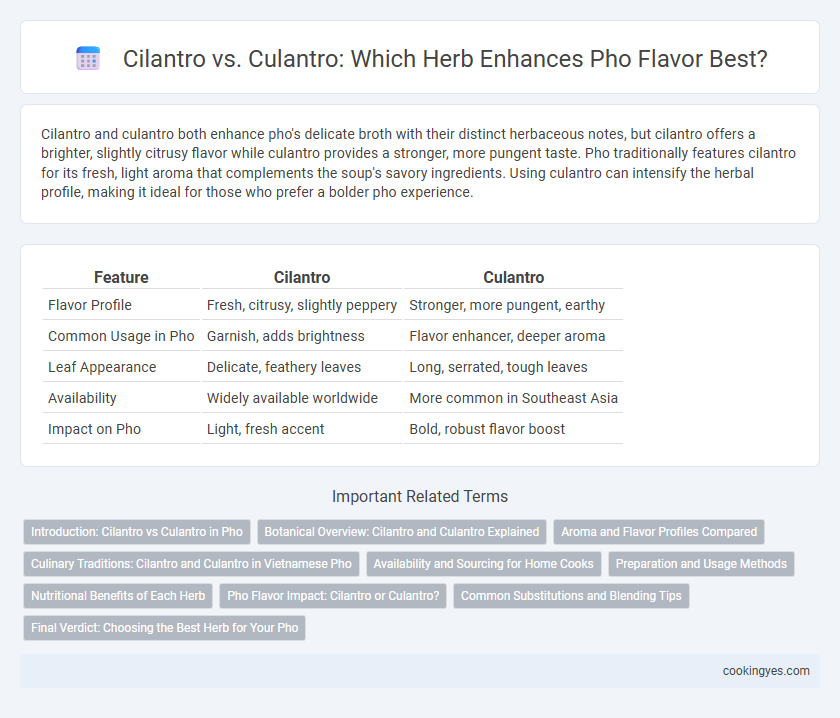 Cilantro vs. Culantro: Which Herb Enhances Pho Flavor Best?