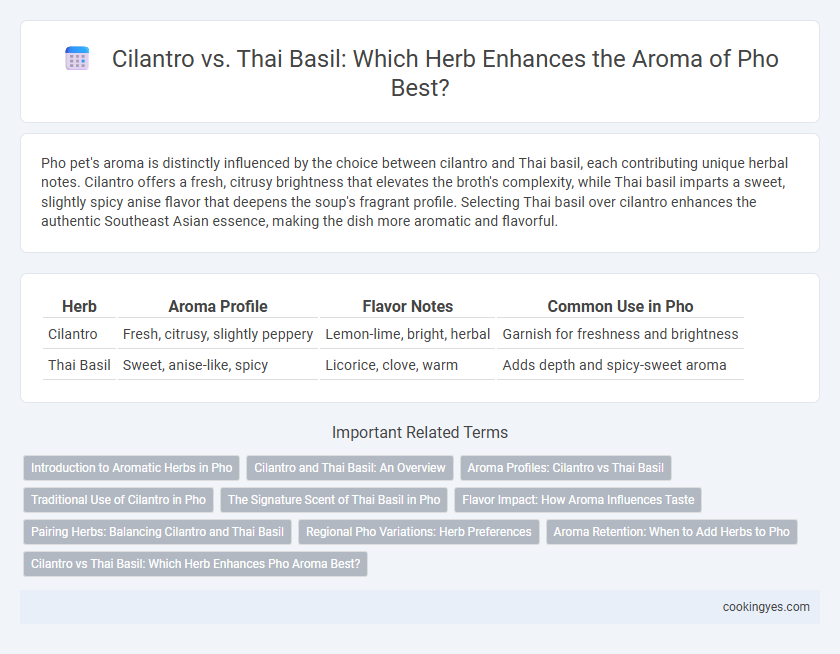 Cilantro vs. Thai Basil: Which Herb Enhances the Aroma of Pho Best?