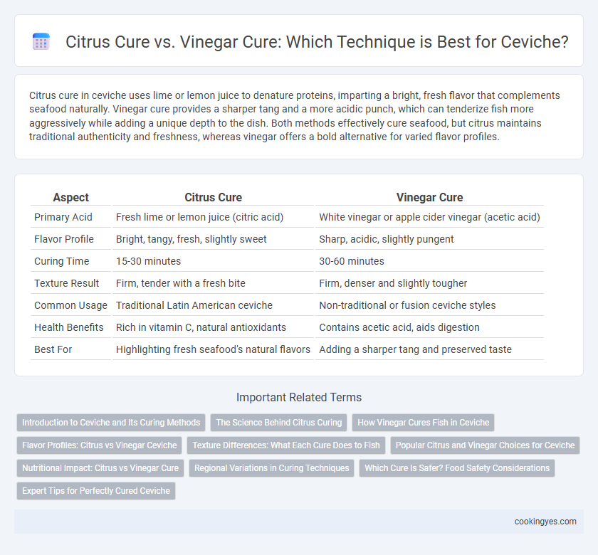 Citrus Cure vs. Vinegar Cure: Which Technique is Best for Ceviche?
