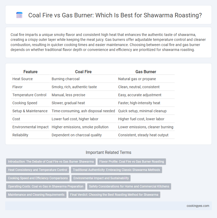 Coal Fire vs Gas Burner: Which Is Best for Shawarma Roasting?