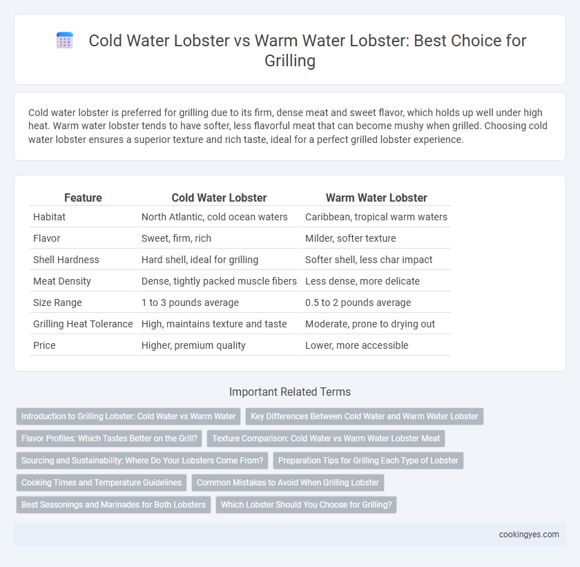 Cold Water Lobster vs Warm Water Lobster: Best Choice for Grilling