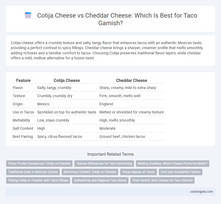 Cotija Cheese vs Cheddar Cheese: Which Is Best for Taco Garnish?