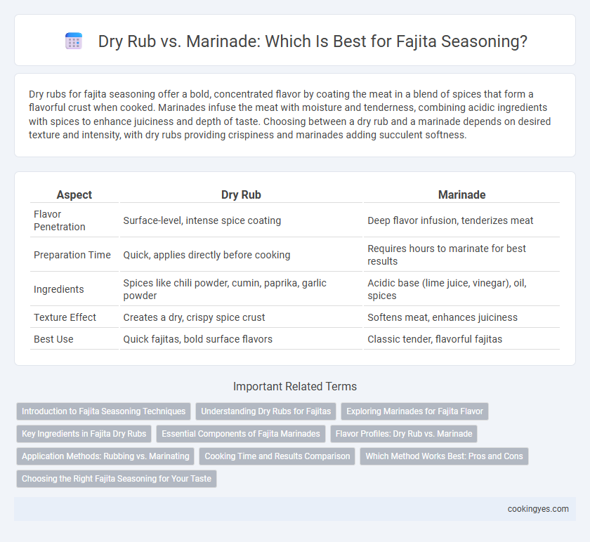Dry Rub vs. Marinade: Which Is Best for Fajita Seasoning?