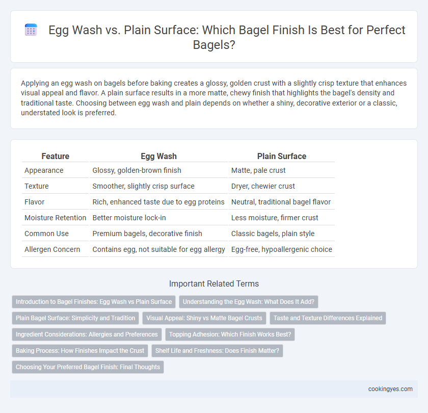 Egg Wash vs. Plain Surface: Which Bagel Finish Is Best for Perfect Bagels?