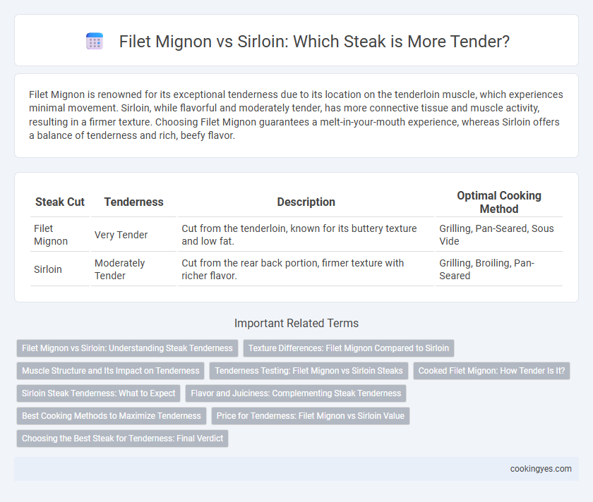 Filet Mignon vs Sirloin: Which Steak is More Tender?