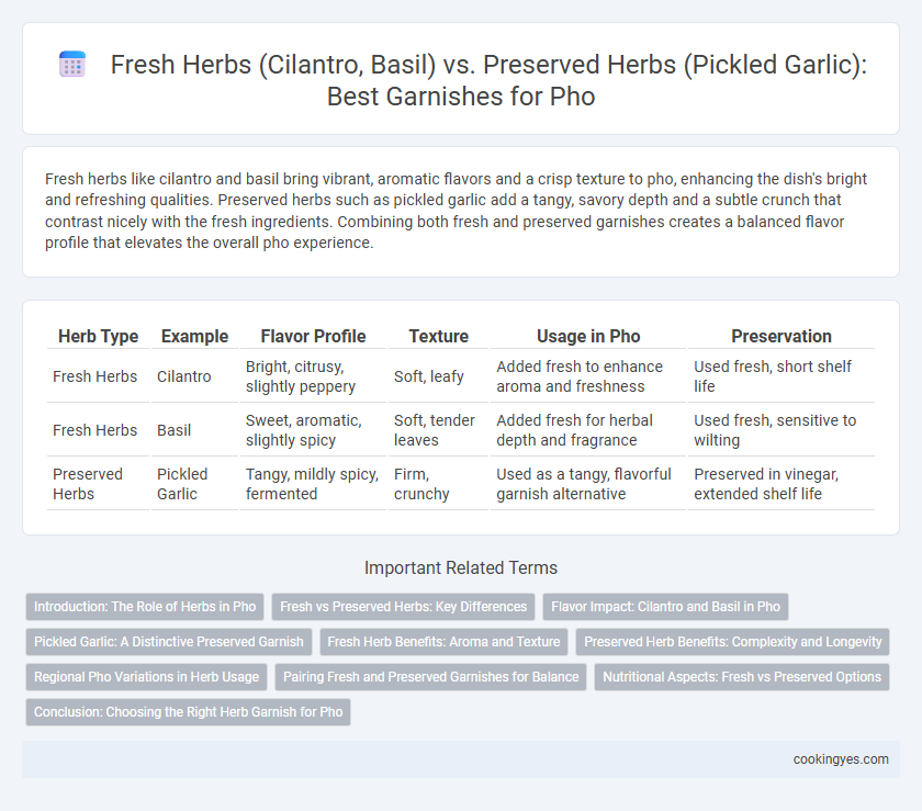 Fresh Herbs (Cilantro, Basil) vs. Preserved Herbs (Pickled Garlic): Best Garnishes for Pho
