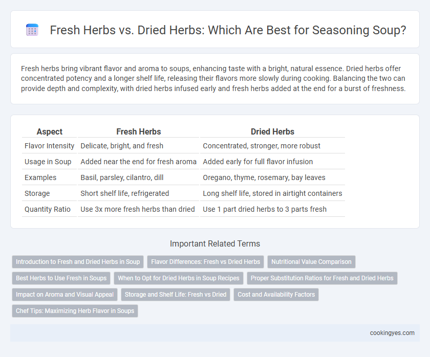 Fresh Herbs vs. Dried Herbs: Which Are Best for Seasoning Soup?
